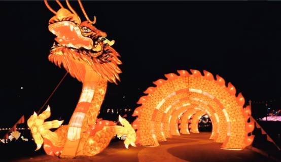 Customized Night Tour Event Lighting Decoration Large Lantern Animals Chinese Lanterns With Lights