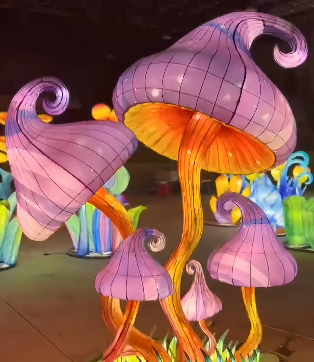 Chinese Lantern Show