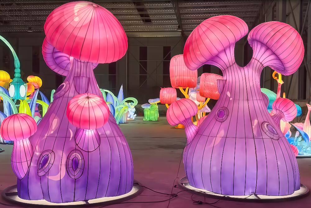 Chinese Lantern Show