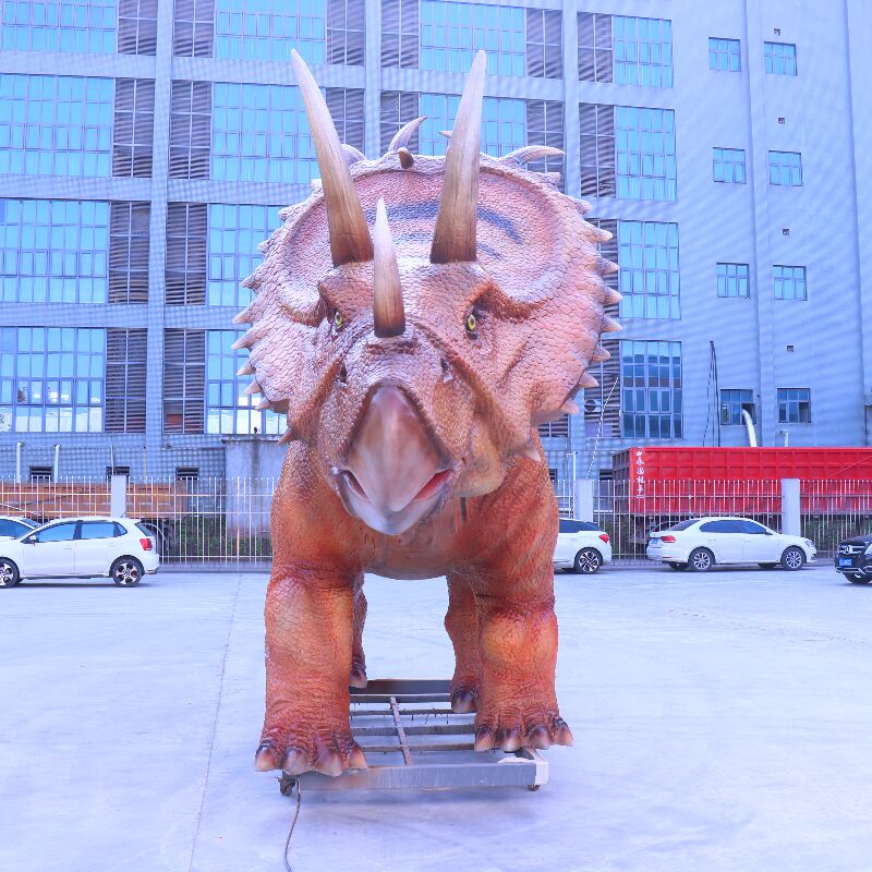 Triceratops