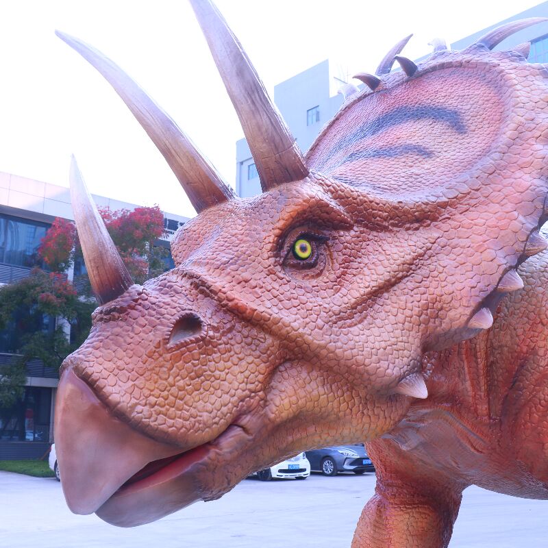 Triceratops