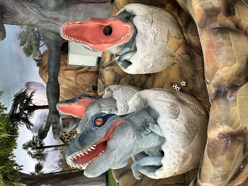 Velociraptor