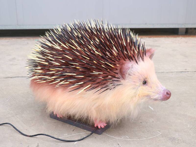 porcupette