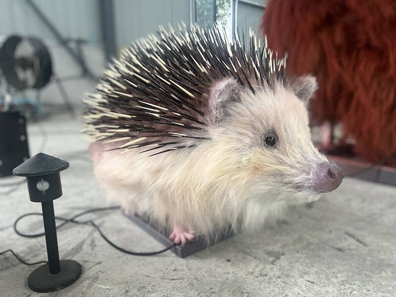 porcupette