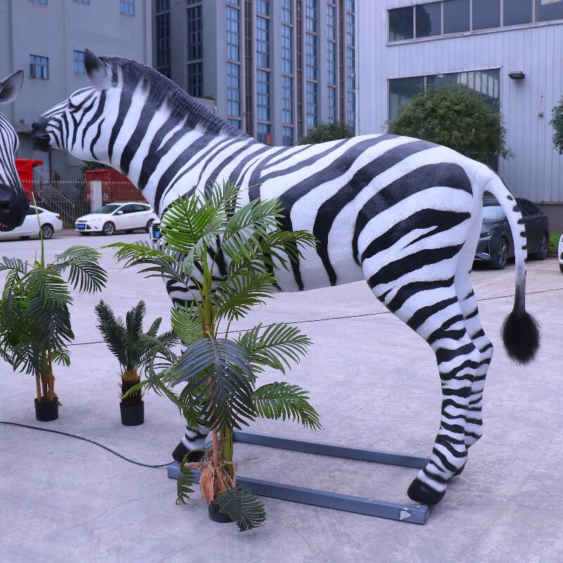 zebra