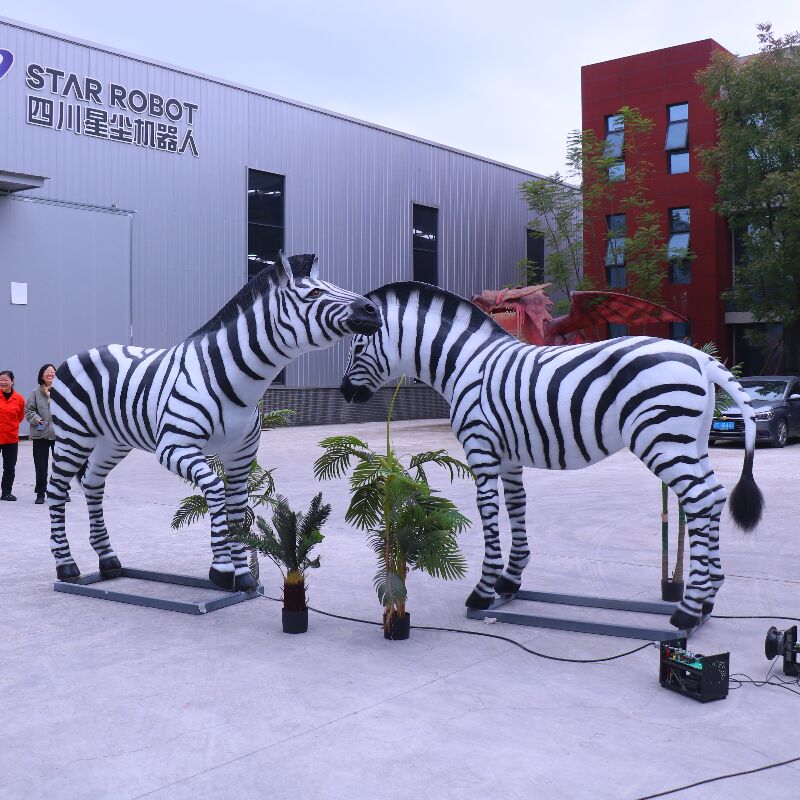 zebra