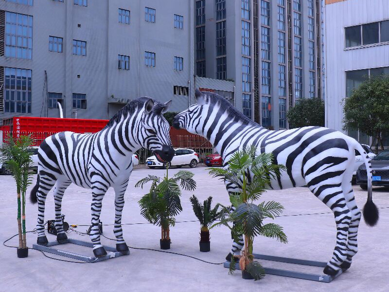 zebra