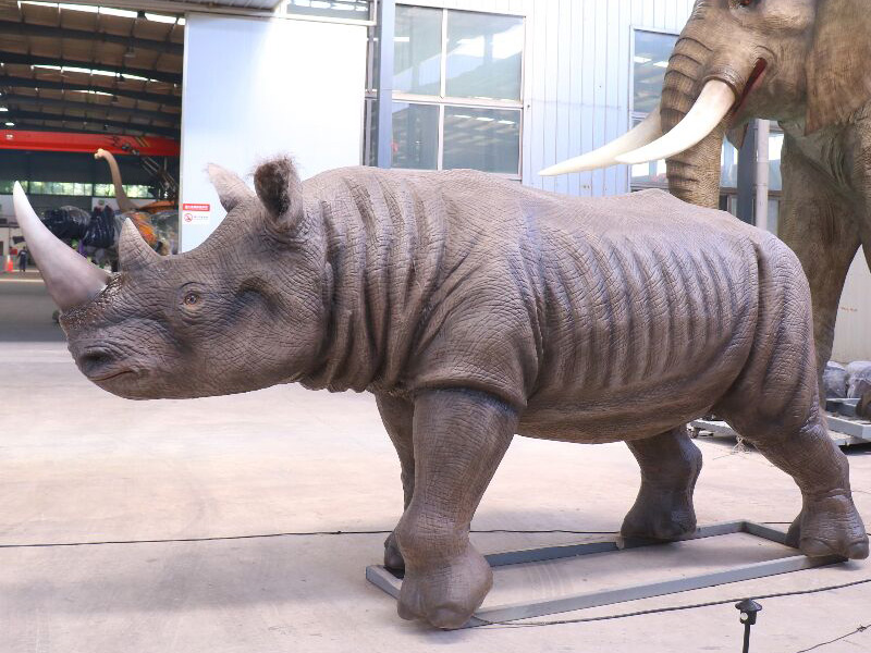 rhinoceros