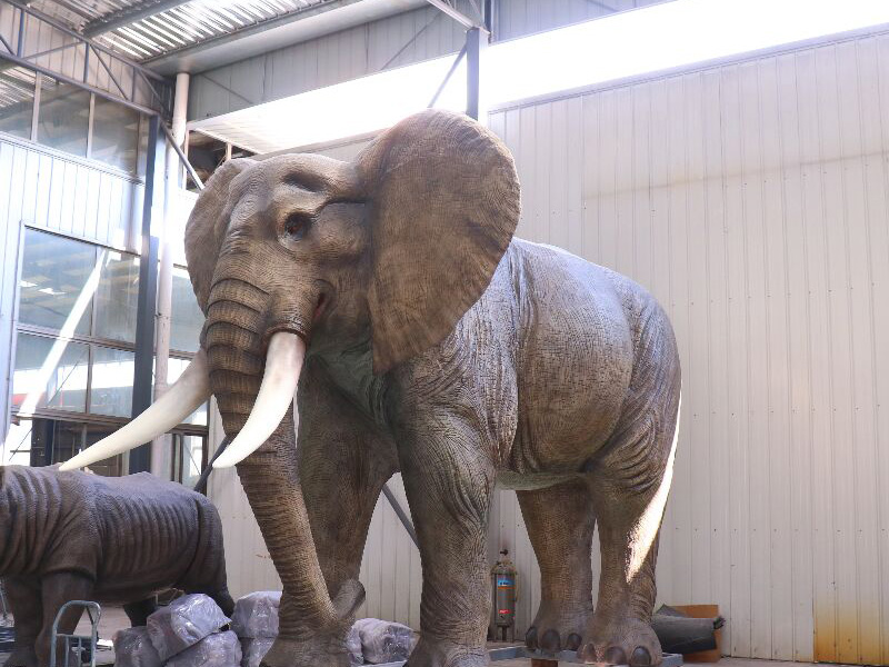 elephant