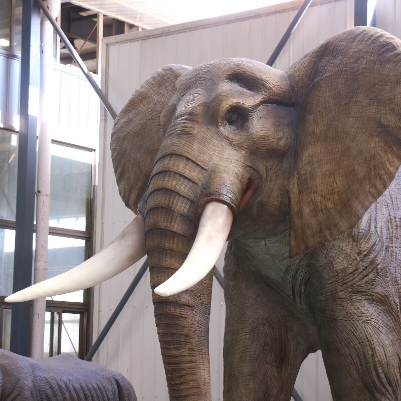 elephant