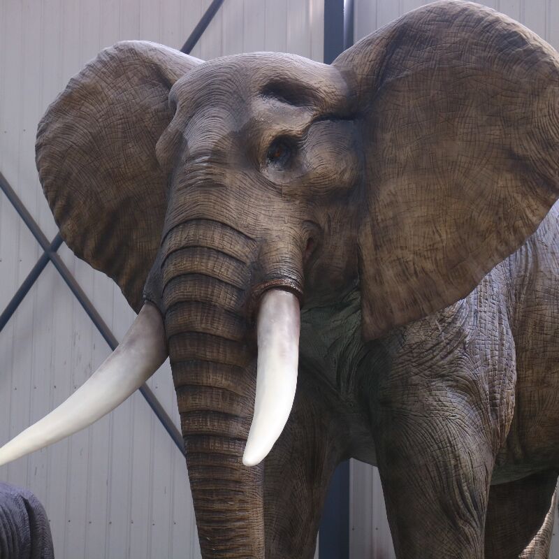 elephant