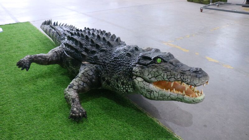 crocodile