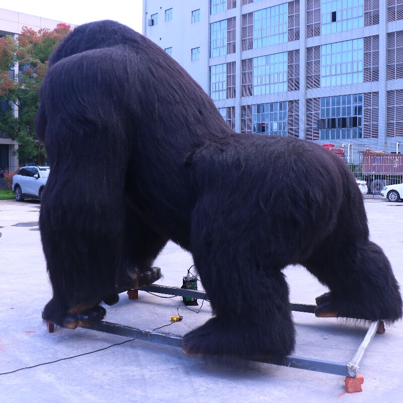 chimpanzee