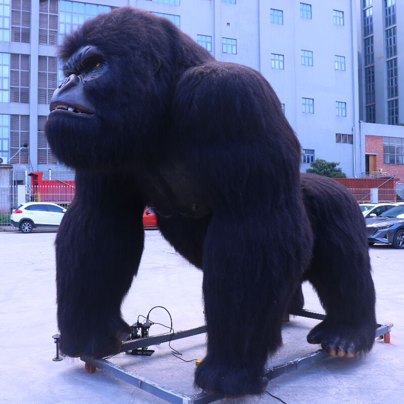 chimpanzee