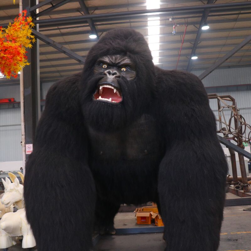 chimpanzee