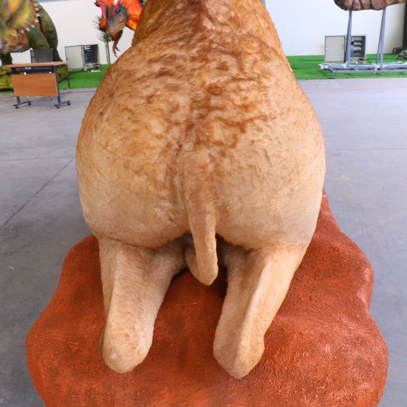 camel