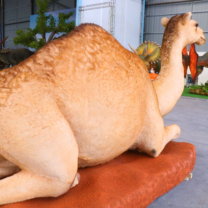 camel