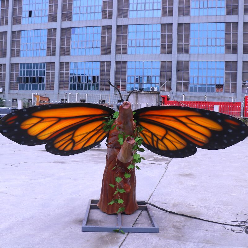 butterfly