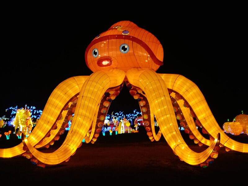 Chinese Lantern Show