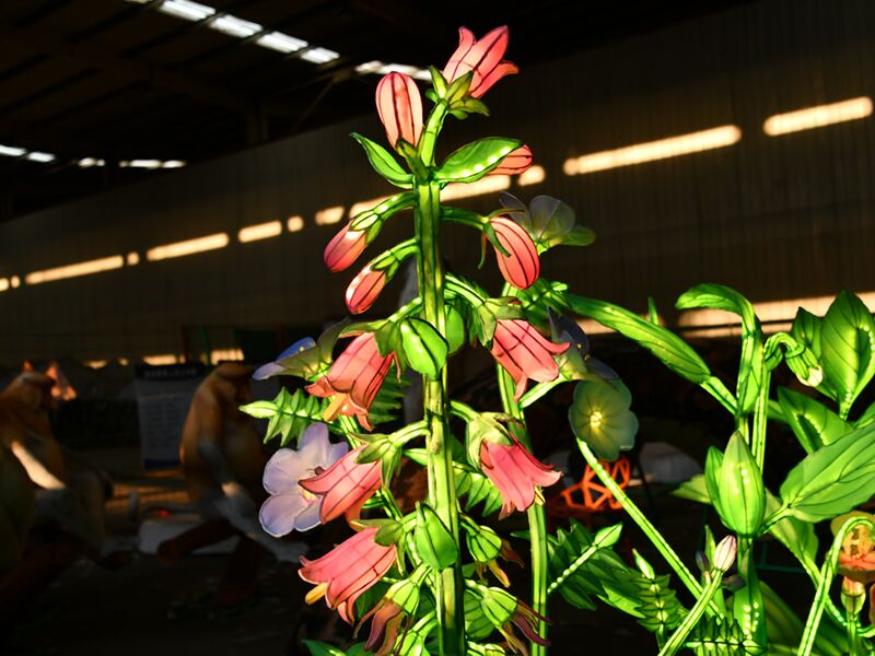 Chinese Lantern Show