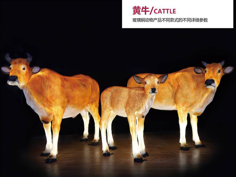 Cattle